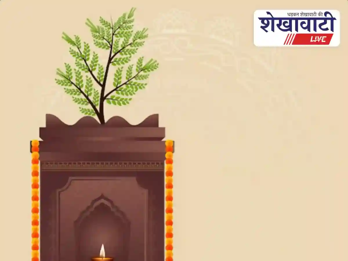 Tulsi Mata Ki Aarti: तुलसी माता की आरती, जय जय तुलसी माता, मैय्या जय तुलसी माता…