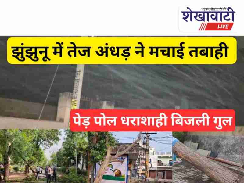 Storm damages power lines, trees, and transformers in Jhunjhunu Pilani