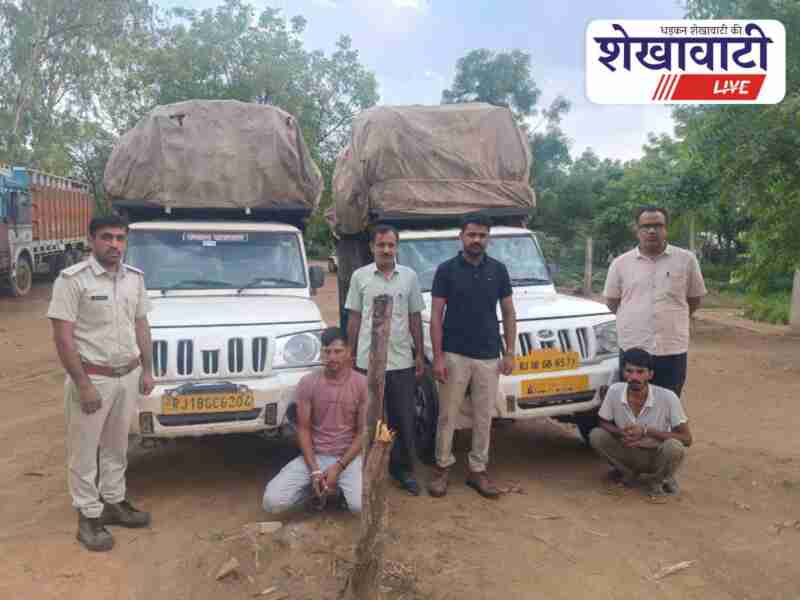 Forest officers seize vehicles carrying illegal green wood in Jhunjhunu