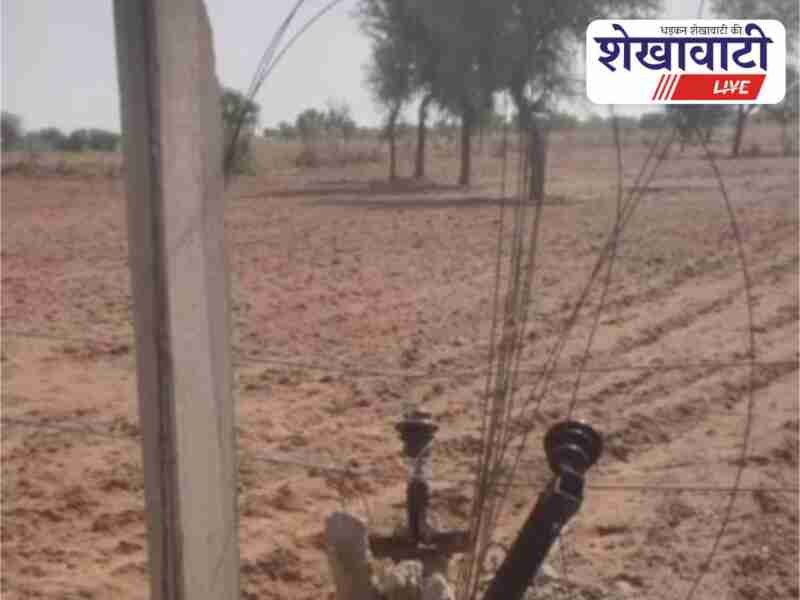 Dust storm in Churu damages electric poles and trees severely