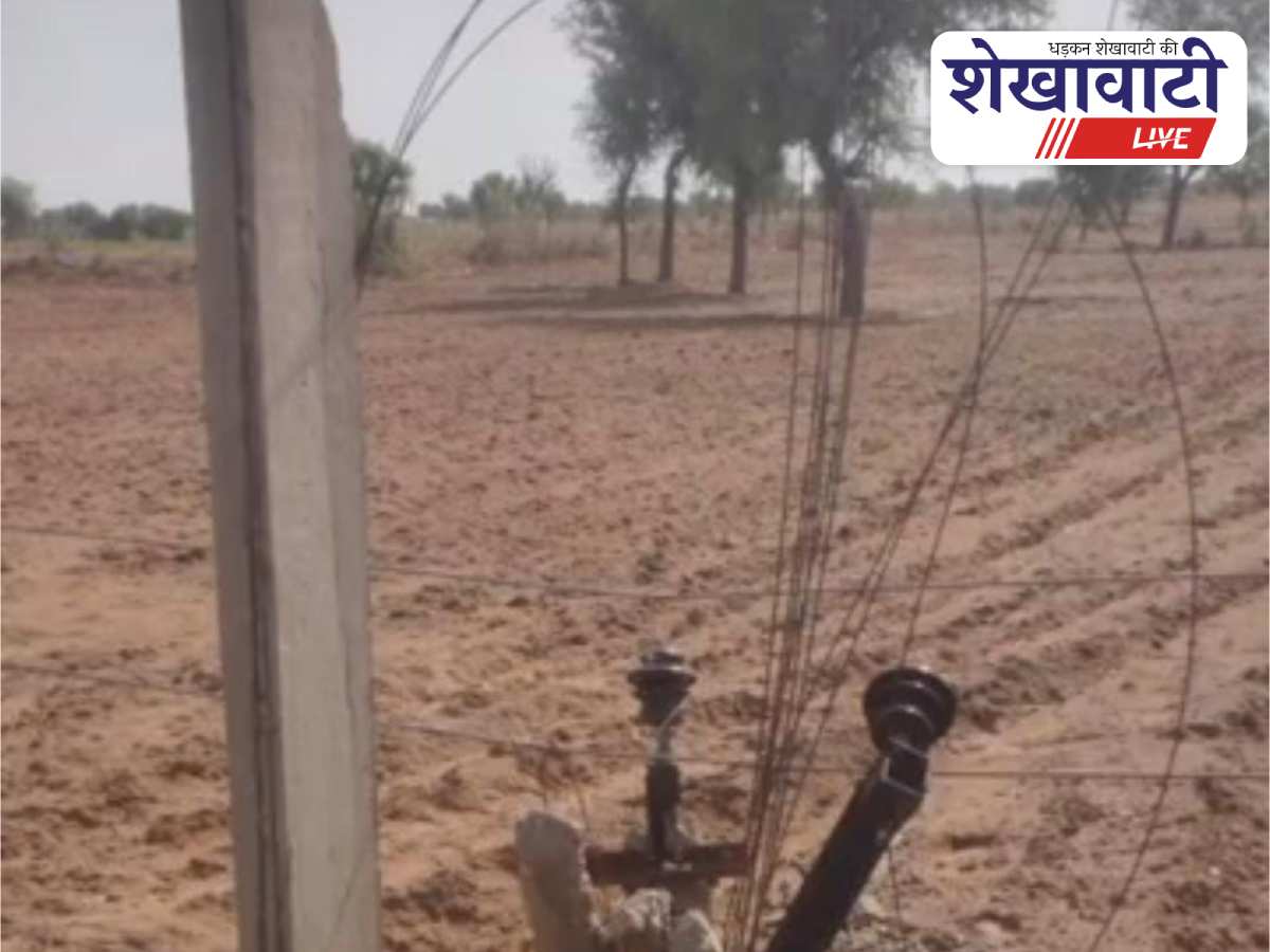 Dust storm in Churu damages electric poles and trees severely