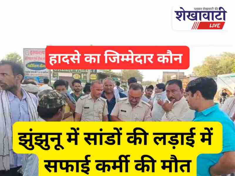 Sultana cleaner dies in bull fight incident, locals protest