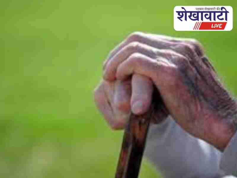 Senior citizens attend wellness workshop in Sikar district hall