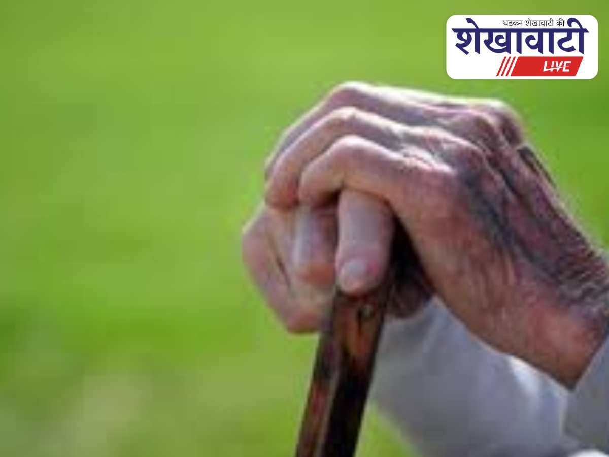 Senior citizens attend wellness workshop in Sikar district hall