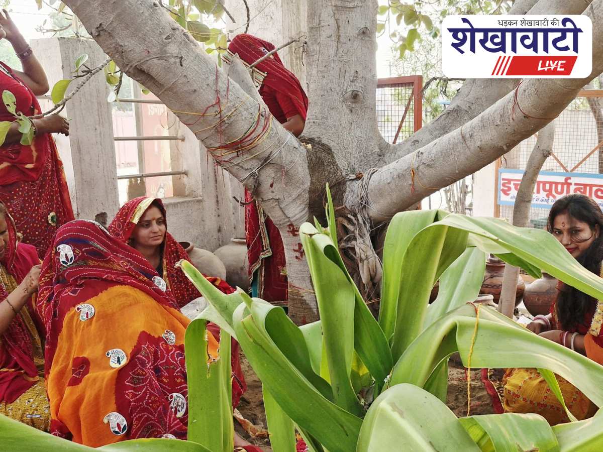 Women perform Vat Savitri pooja at Jhunjhunu temple gathering