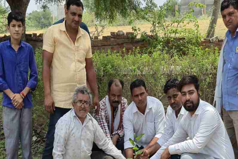 Congress workers plant 21 saplings in Ratangarh to celebrate Rahul Gandhi's birthday