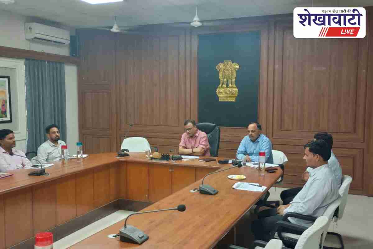Sikar Collector reviews revenue cases with officials via video conference