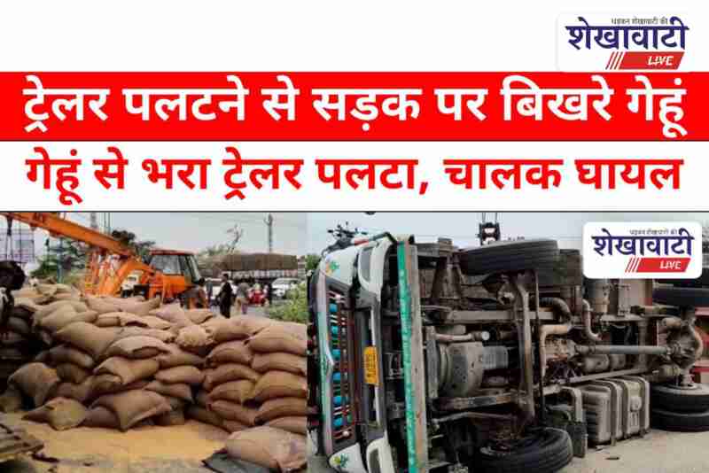 Wheat-loaded trailer overturns near Ratangarh, driver injured on highway