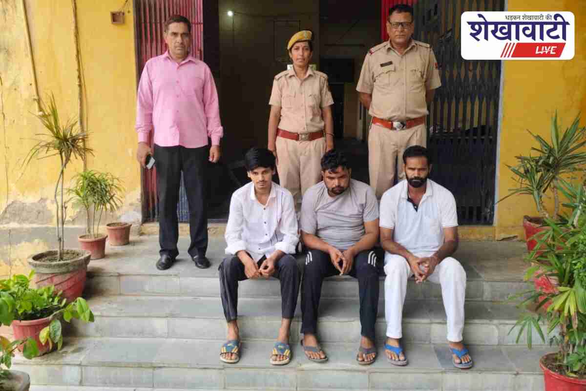 Police team seizes milk tanker and pickup during night raid