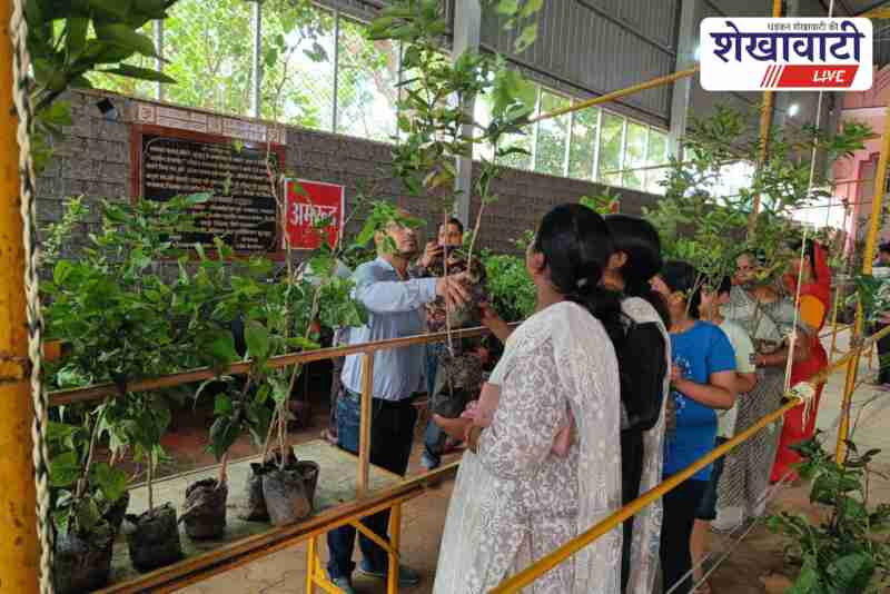 Agarwal Samaj distributes 2100 plants, announces scholarships in Jhunjhunu