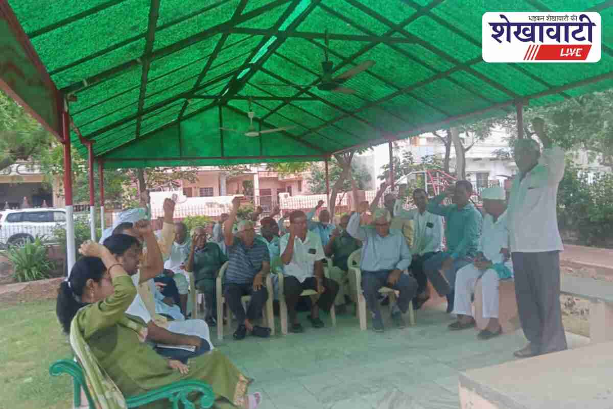 Electricity consumers protesting against smart meters in Jhunjhunu park