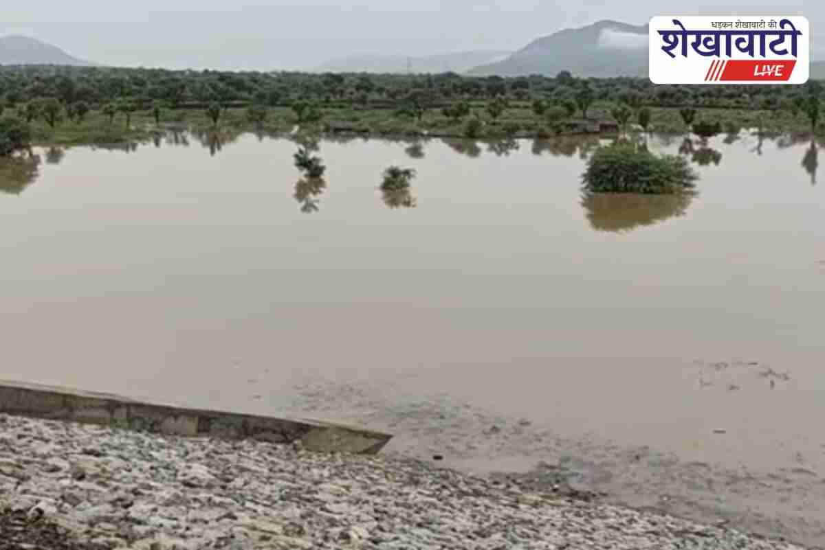 Kotri dam water level rises in Sikar, irrigation to benefit farmers