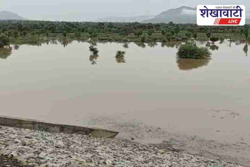 Kotri dam water level rises in Sikar, irrigation to benefit farmers