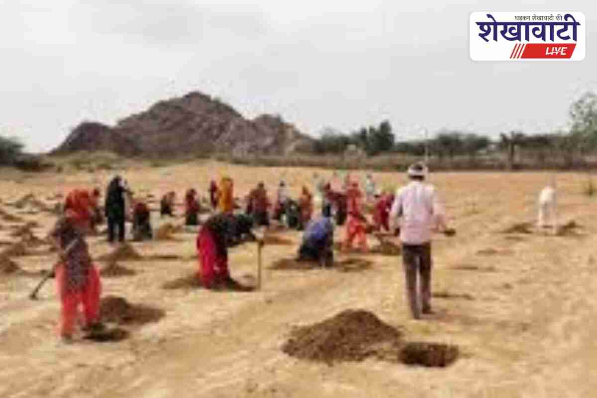 MNREGA workers in Sikar to follow new 9 to 5 schedule