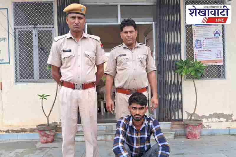Police arrested gau smuggling accused Sandeep Gurjar from Jhunjhunu's Pacheri Kalan after 25-day manhunt