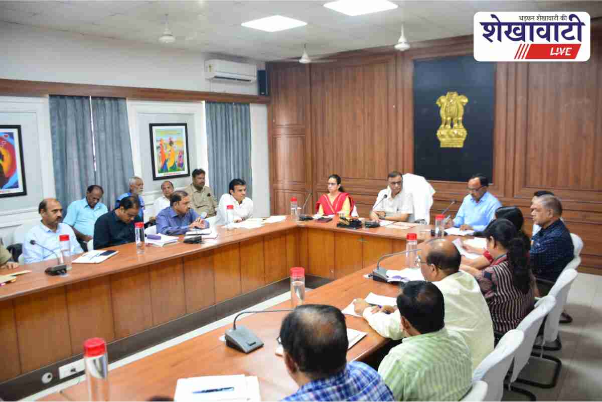 District collector chairs review meeting on portal issues in Sikar