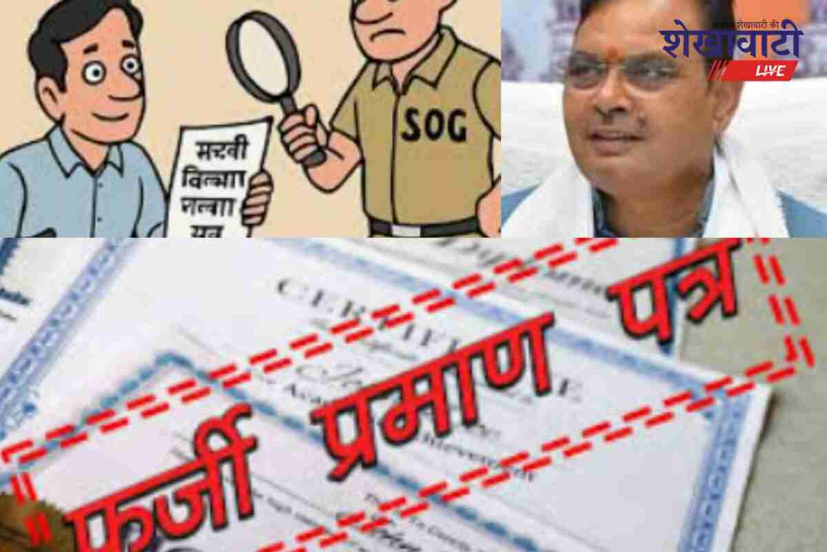 Rajasthan government orders re-verification of disabled employees certificates
