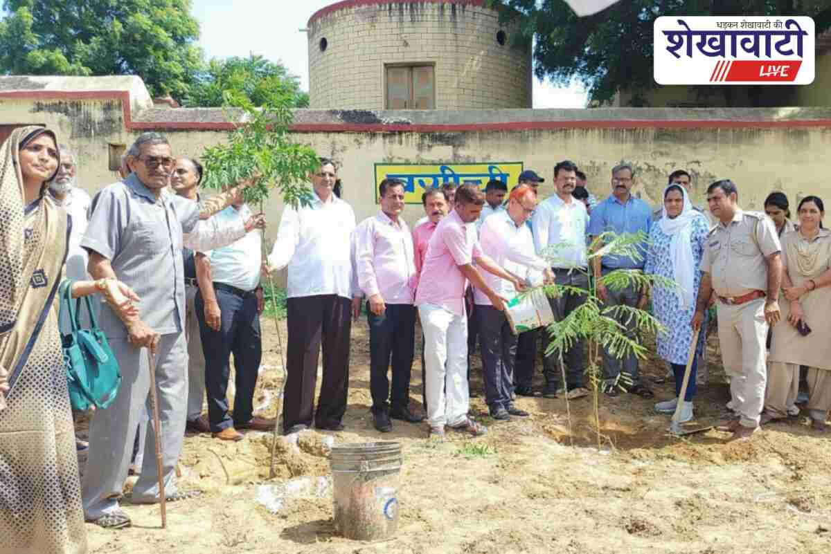 Officials and villagers plant trees during Van Mahotsav in Kajra