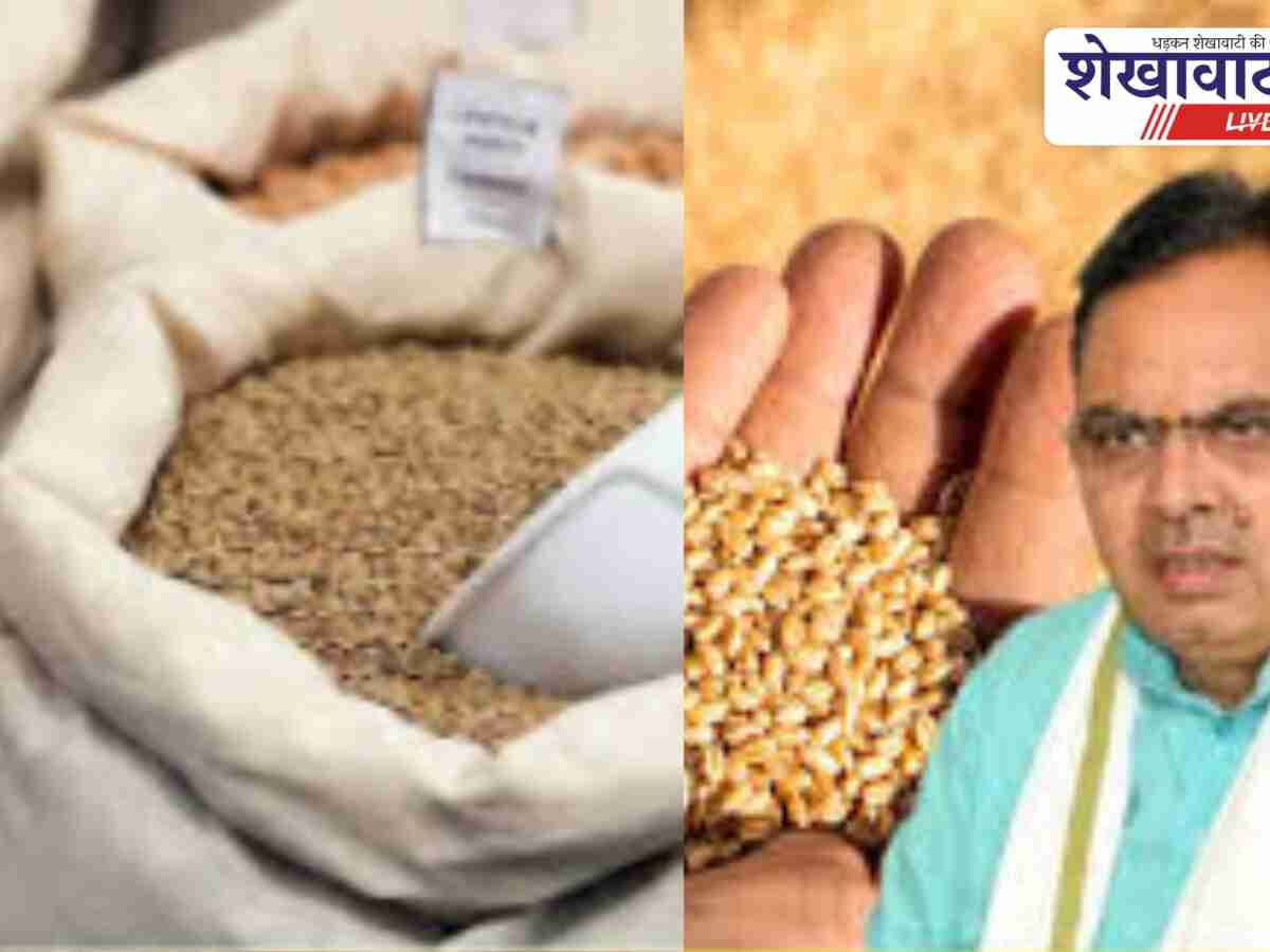 Sikar News: 165525 लोगों ने छोड़ा खाद्य सुरक्षा योजना लाभ – सीकर अपडेट