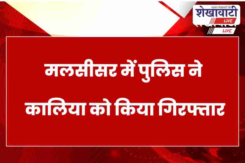 Jhunjhunu police arrest absconding burglary accused Kaliya from Malsisar
