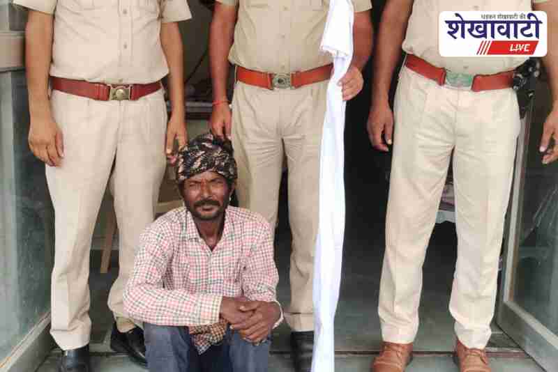 Police arrest accused in Nawalgarh dog killing gun case