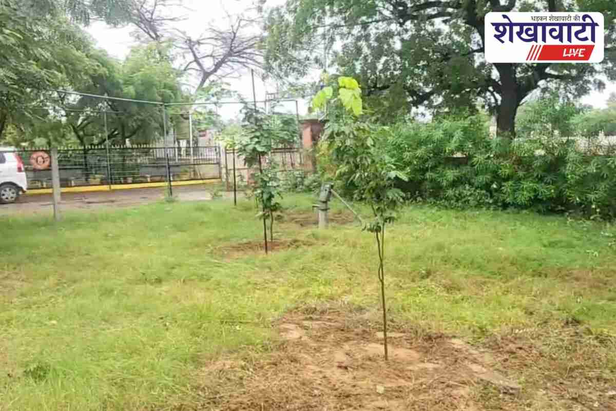 Journalists in Jhunjhunu clean park before CM visit during rain