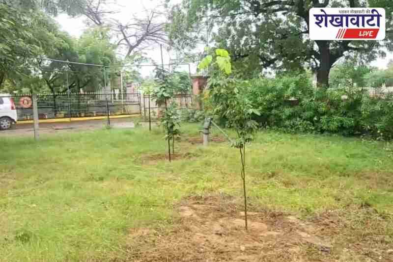 Journalists in Jhunjhunu clean park before CM visit during rain