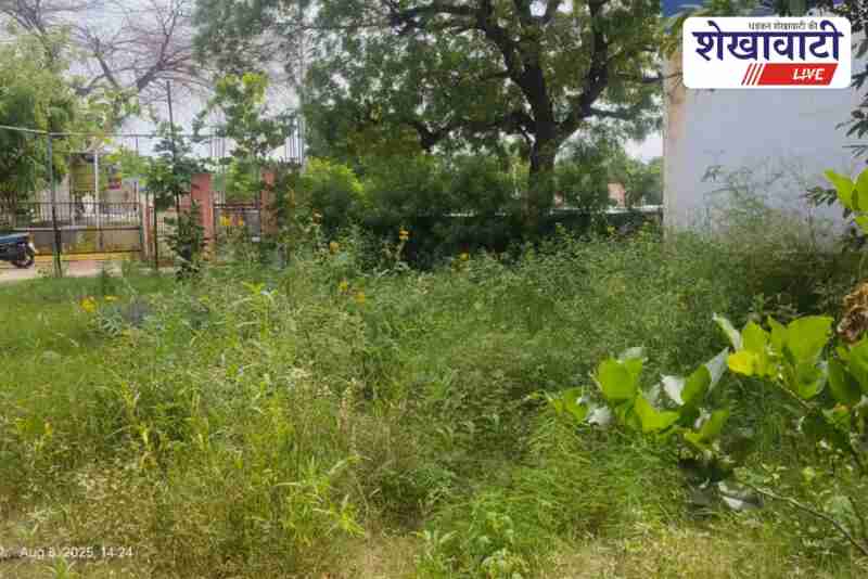 Journalists clean neglected Jhunjhunu PR office park before CM visit