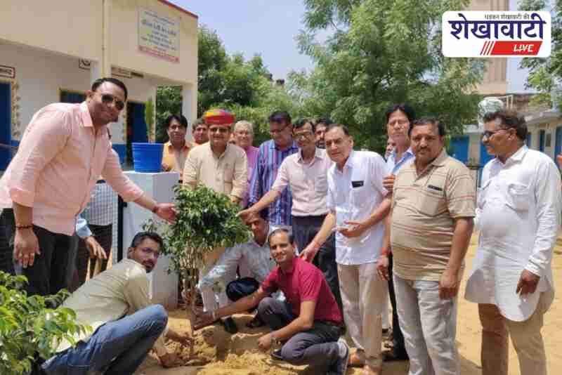 Former MLA Abinesh Maharshi plants tree at Panditpur school under Hariyalo Rajasthan campaign