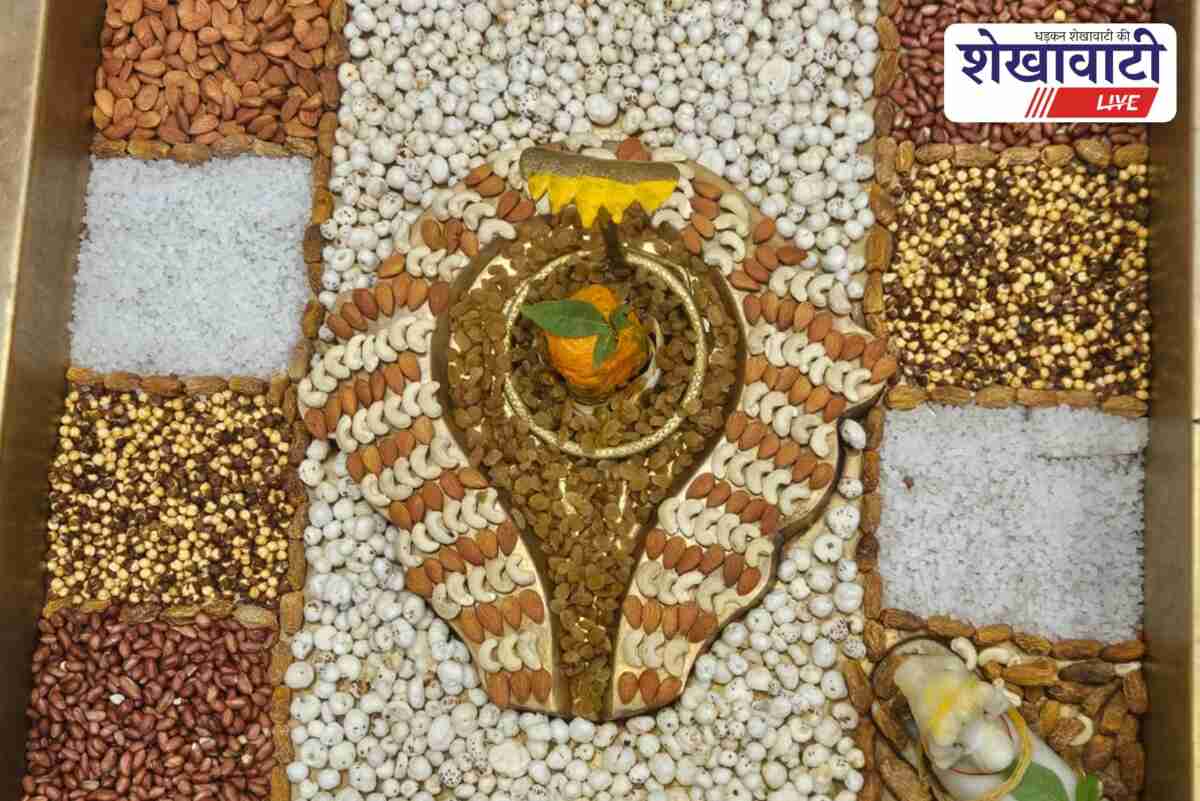 Devotees decorate Pataleshwar Mahadev temple with dry fruits in Sikar