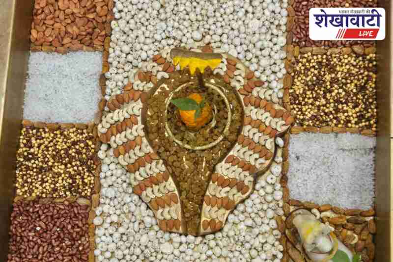Devotees decorate Pataleshwar Mahadev temple with dry fruits in Sikar