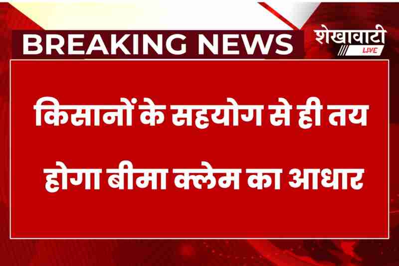 Farmers in Churu participate in crop cutting experiments for insurance