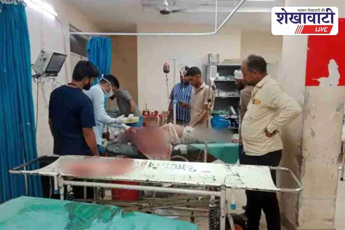 Camel cart accident near Churu, two dead, four injured in crash