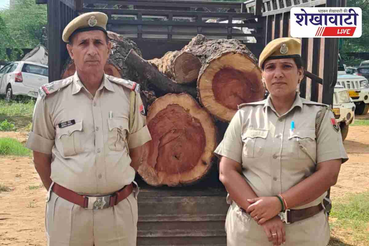 Jhunjhunu police seized pickup loaded with illegal green wood