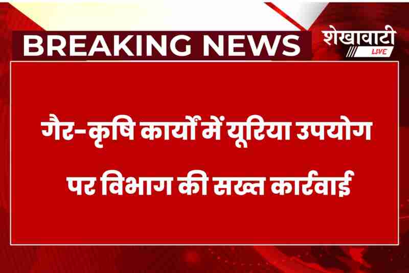 Agriculture department cancels fertilizer license of Balaji Enterprises in Sikar