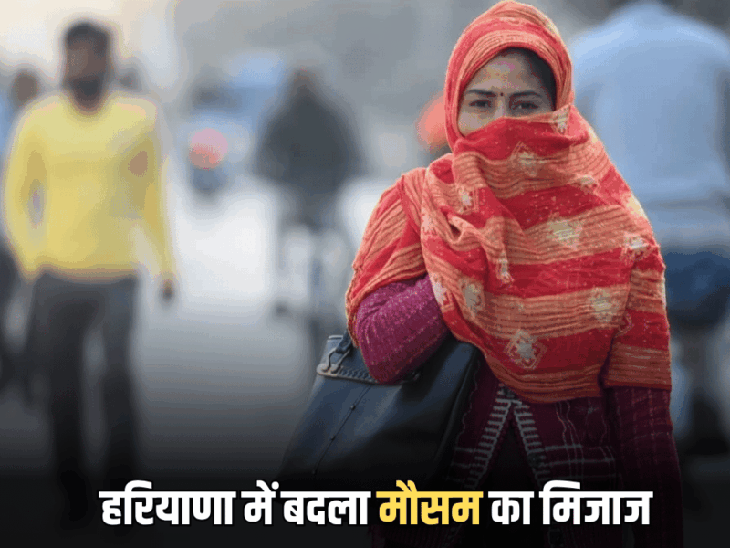 Haryana Weather: पहाड़ों में बर्फबारी से हरियाणा में बदला मौसम का मिजाज, गिरा तापमान, बढ़ गई है ठंड, देखें रिपोर्ट