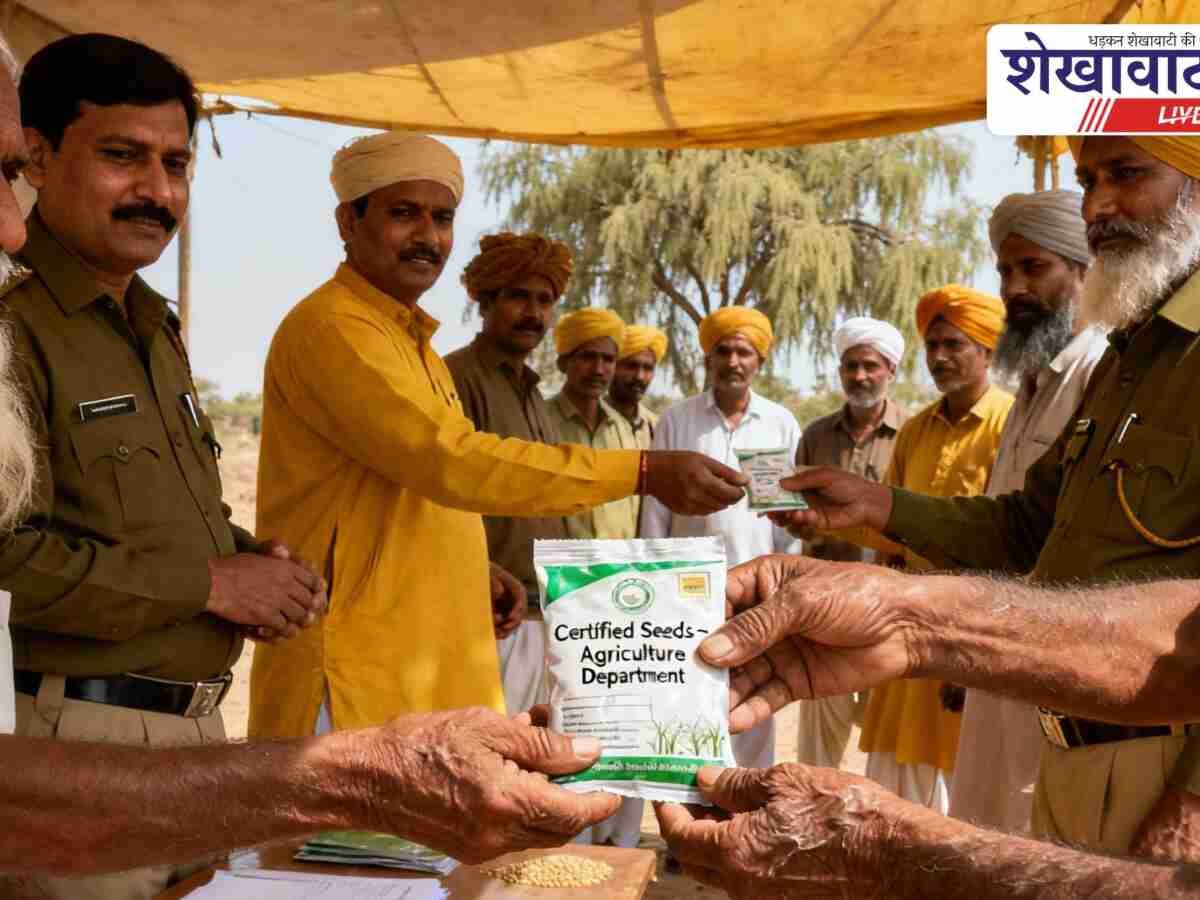 Churu News: किसानों को मिलेगा प्रमाणित बीज, शुरू हुआ वितरण