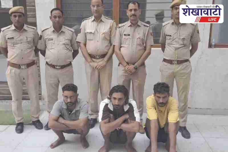 Sardarshahar police arrest interstate theft gang, car recovered