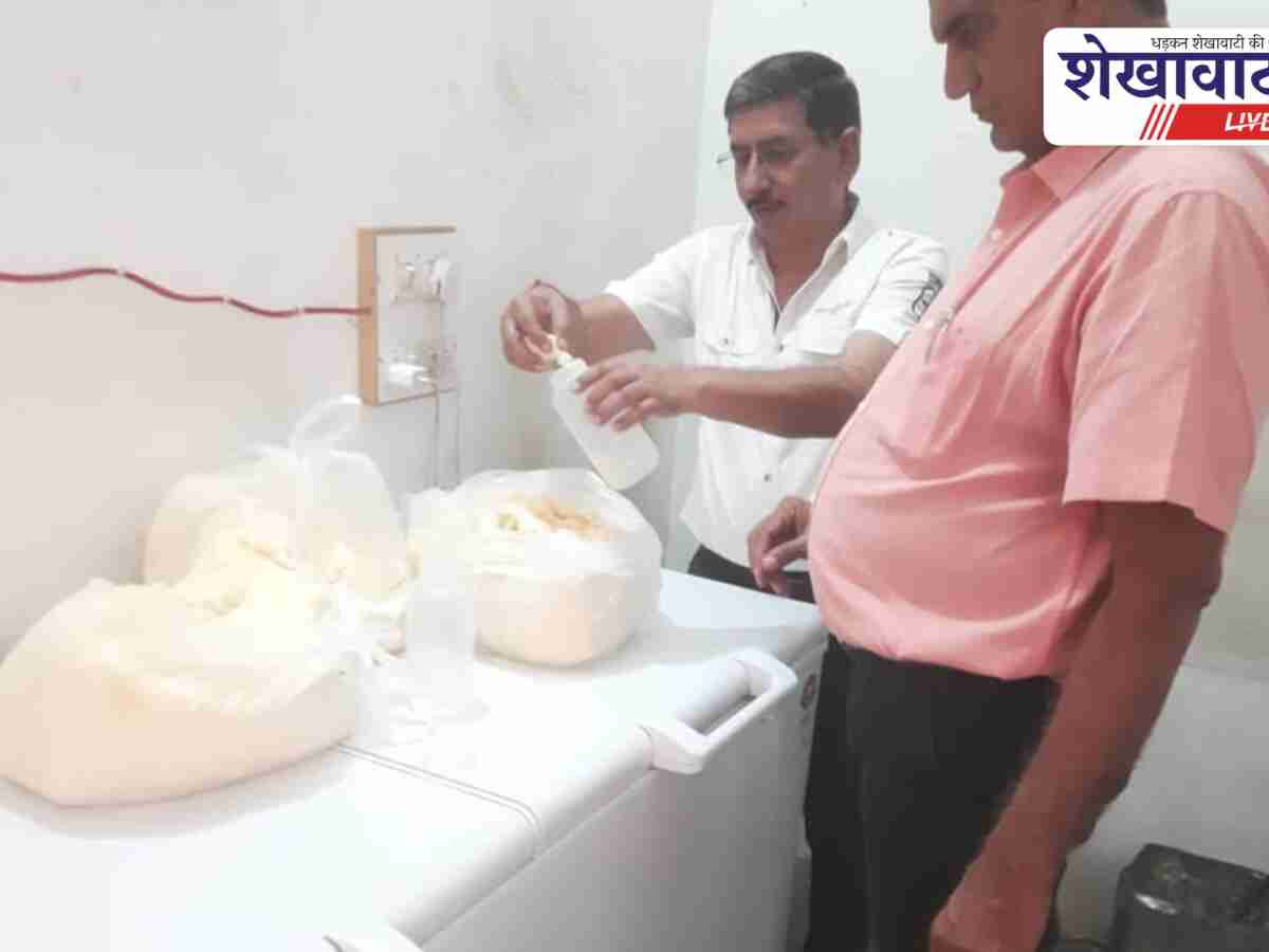 राजगढ़ में मावा मिलावट पर कार्रवाई, 7 नमूने लिए, 30 किलो नष्ट