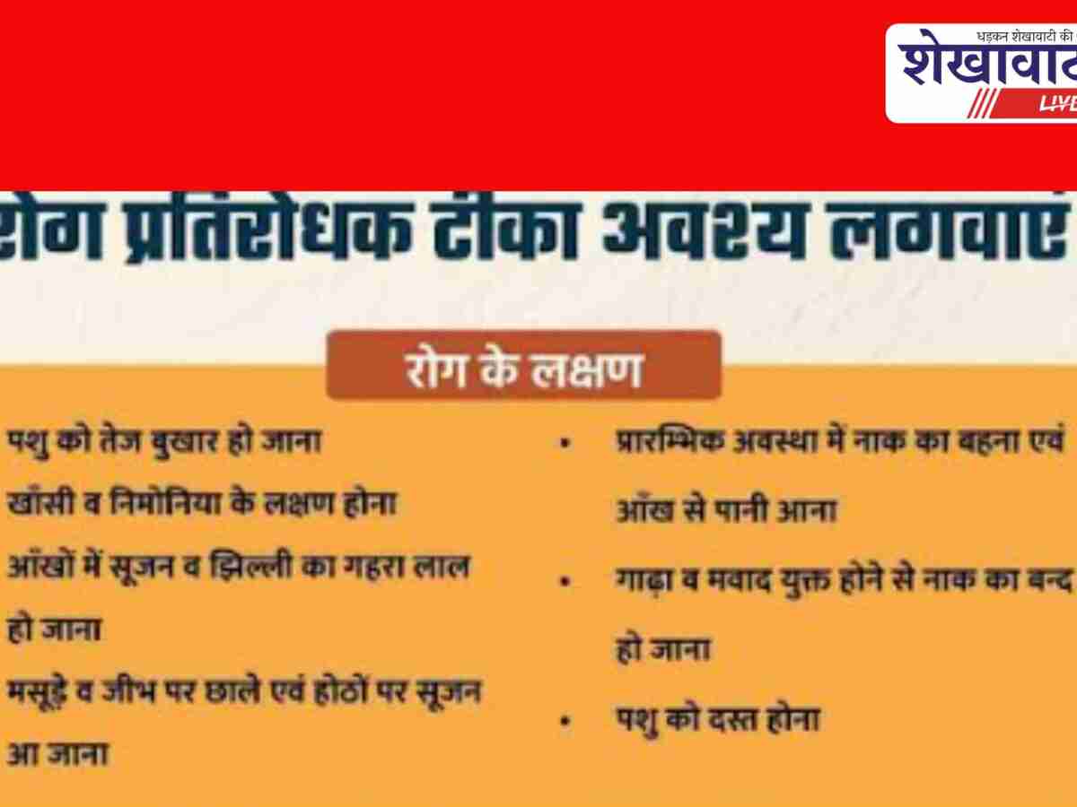Churu News: नि:शुल्क एफएमडी और पीपीआर टीकाकरण अभियान शुरू