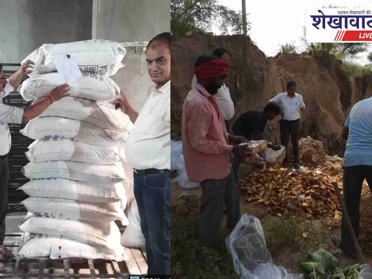 Churu News: मिलावट पर वार: 440 किलो मैदा जब्त, 280 किलो बिस्किट नष्ट