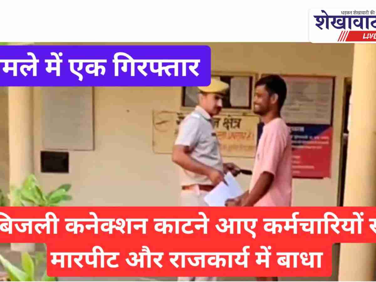 Video News: बिजली कनेक्शन काटने गए कर्मचारियों से मारपीट का मामला