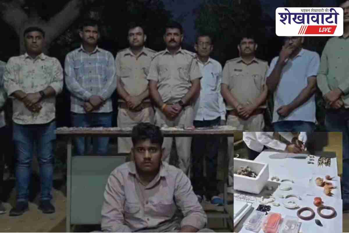 Wildlife crime gang busted in Jhunjhunu with banned animal parts