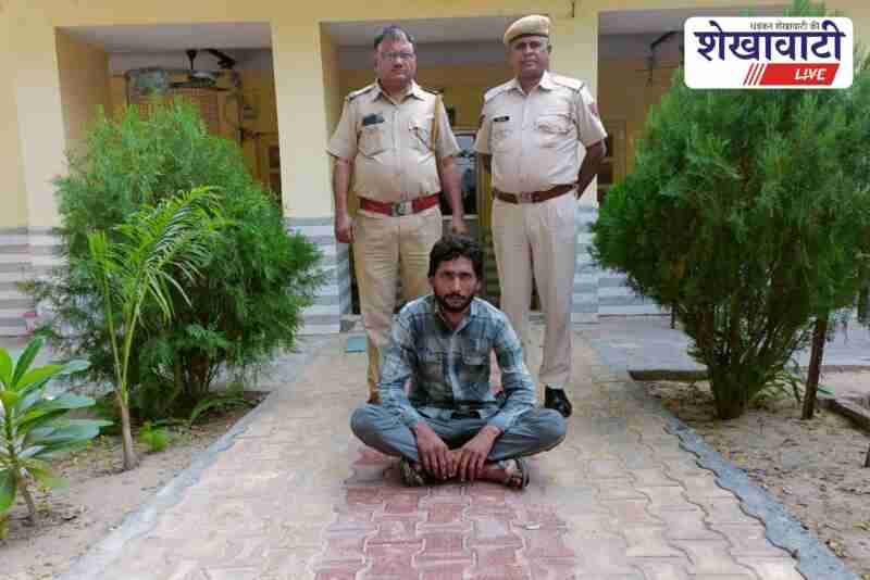 Pilani police arrest accused in theft case, recover cash and bike