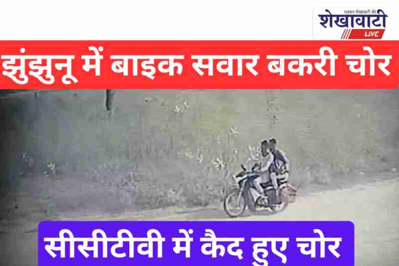 Bike thieves caught stealing goat in Islampur village CCTV footage