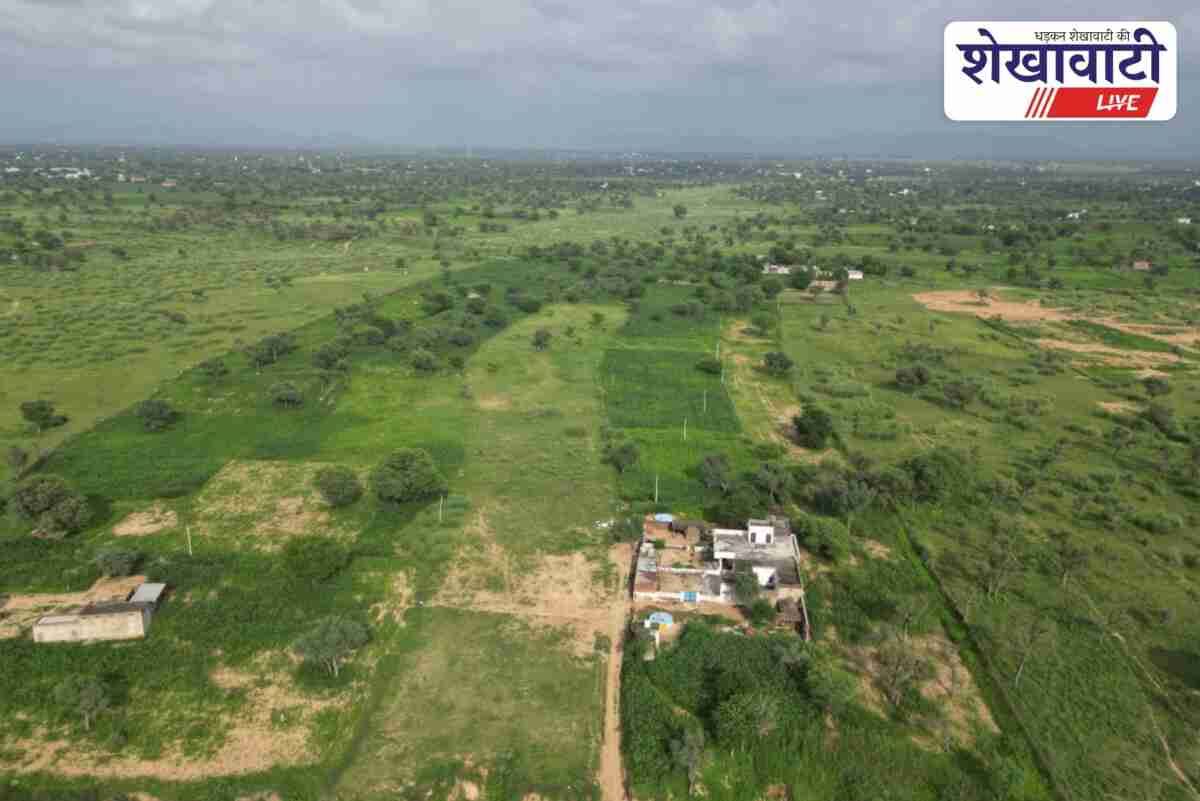 Jhunjhunu Collector orders removal of encroachments from Katli River