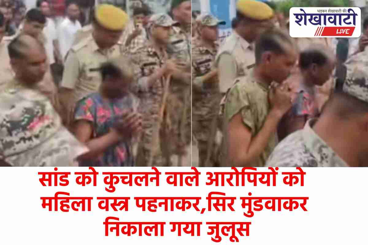 Accused paraded publicly in Nehshwa bull killing case, police present