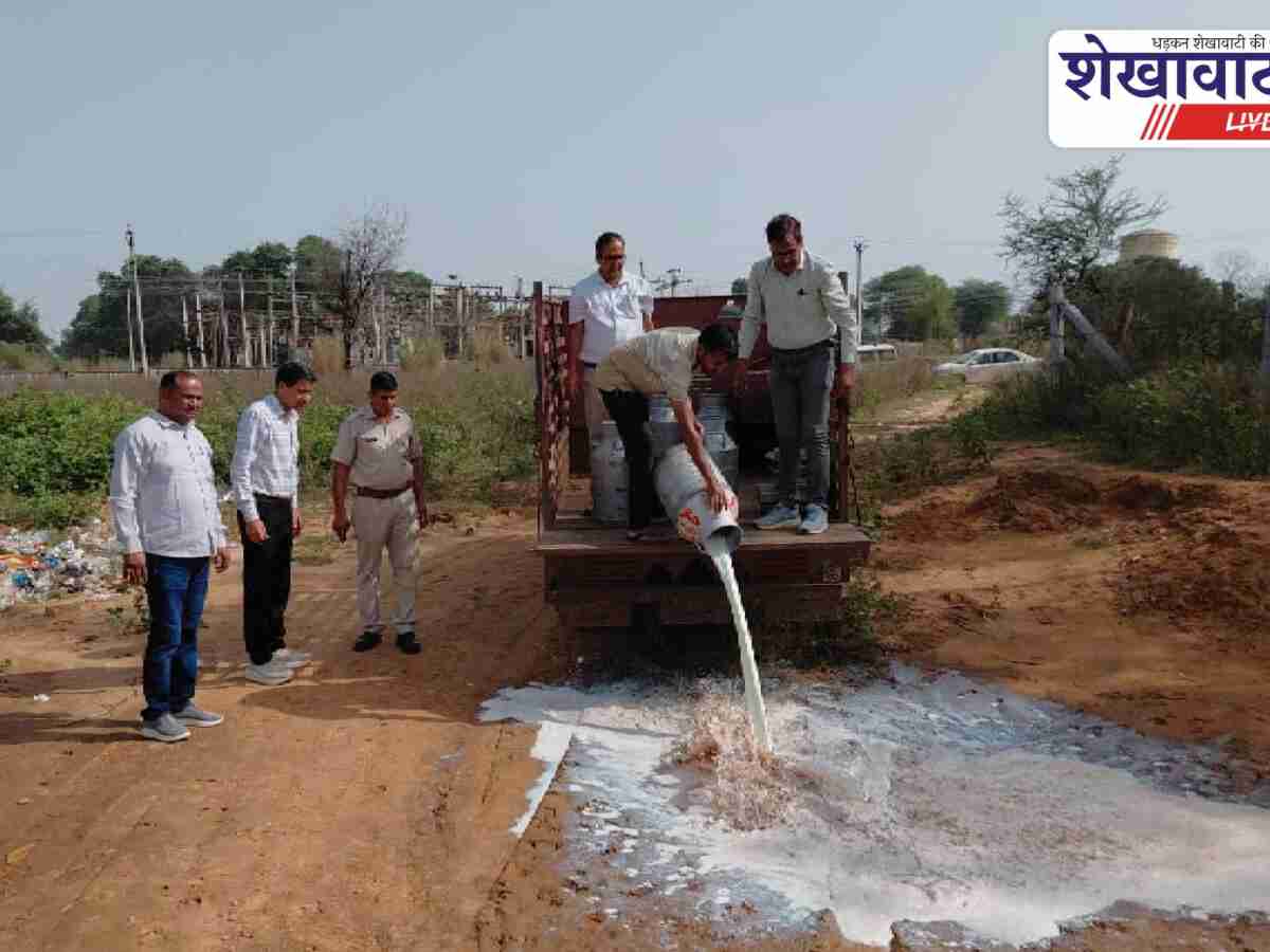 Sikar News:  250 किलो मिल्क पाउडर सीज, 500 लीटर दूध नष्ट