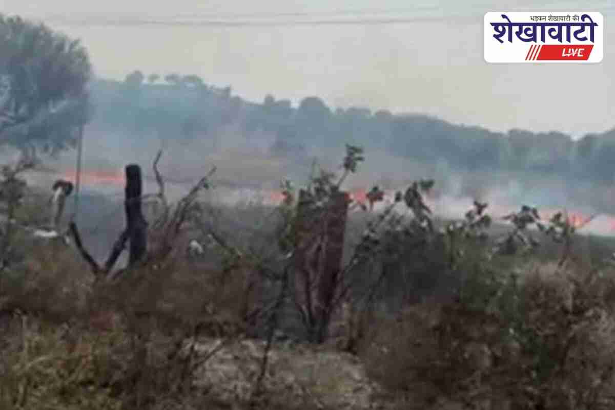 Fire in Fatehpur Ashash village caused by electric spark transformer
