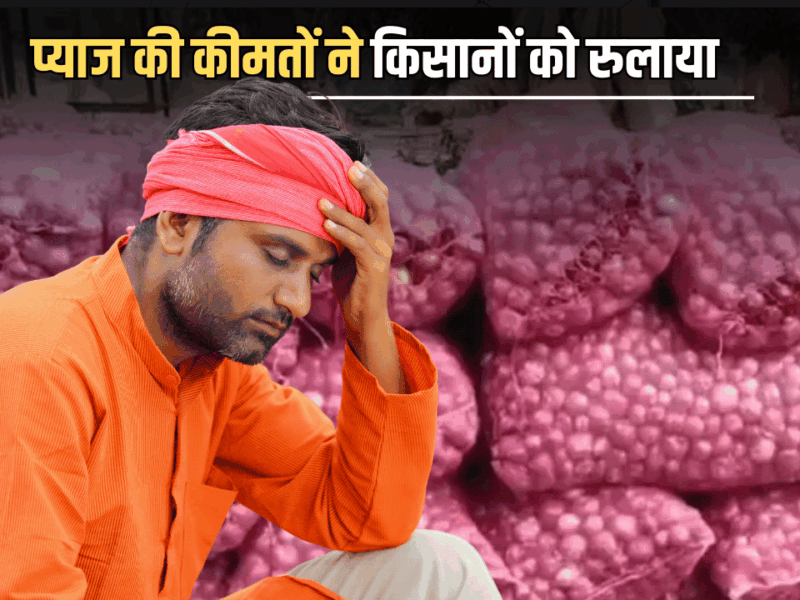Onion Price Today : प्याज की कीमतों ने किसानों को रुलाया, राजस्थान में 1000 करोड़ के नुकसान का अनुमान